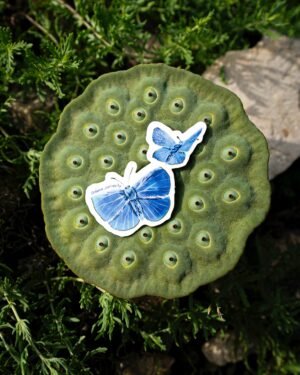 Sticker papillon argus bleu