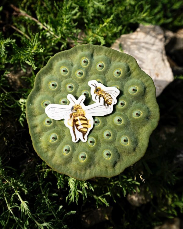 030925_16 Sticker abeilles