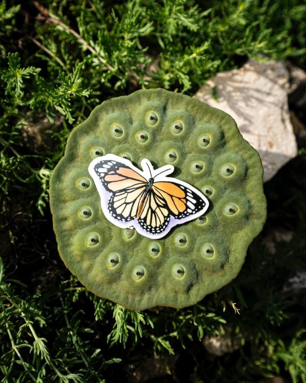 030925_17 Sticker papillon monarque