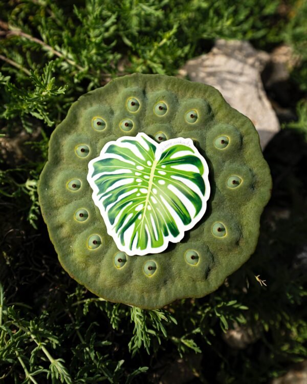 Sticker monstera