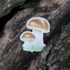 1 Sticker cèpe
