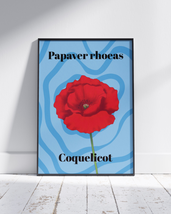 Affiche coquelicot (Papaver rhoeas)
