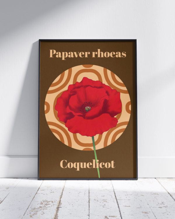 Affiche coquelicot (Papaver rhoeas)