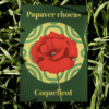 Affiche coquelicot (Papaver rhoeas)
