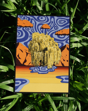 Affiche saule pleureur