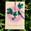 18 Affiche érable champêtre (Acer campestre)