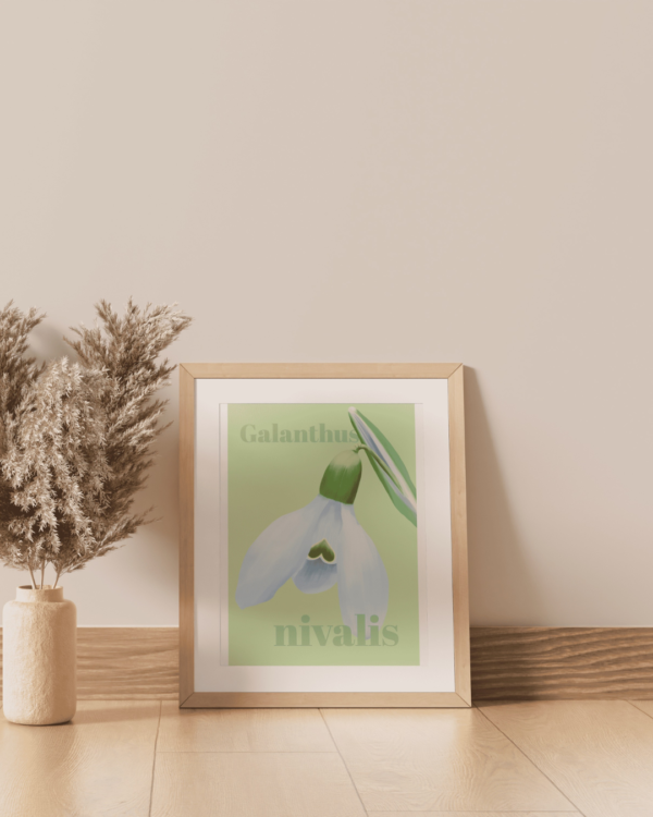 Affiche perce-neige (Galanthus nivalis)