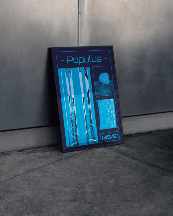 Affiche peuplier (Populus)