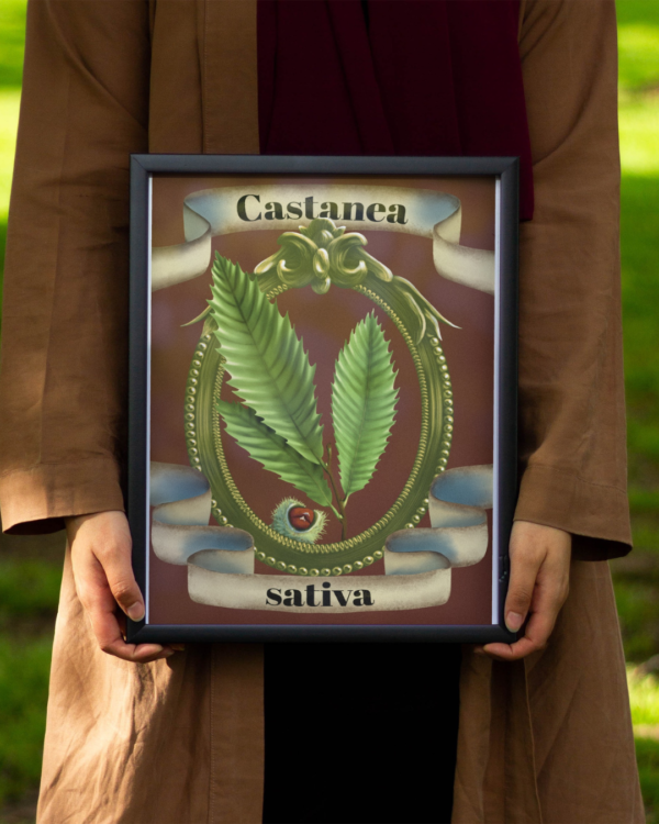 2 copie 3 Affiche châtaignier (Castanea sativa)