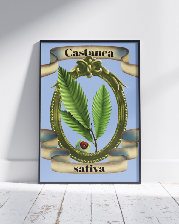 3 copie 2 Affiche châtaignier (Castanea sativa)
