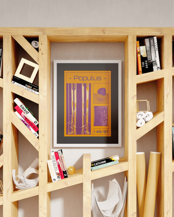 Affiche peuplier (Populus)