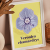 Affiche véronique petit chêne (Veronica chamaedrys)