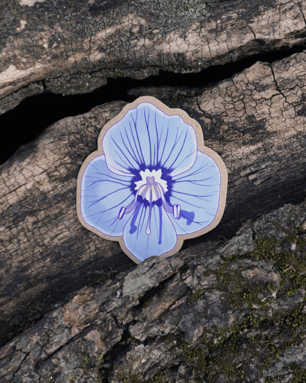 Sticker véronique petit chêne