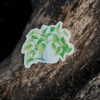 7 Sticker pothos