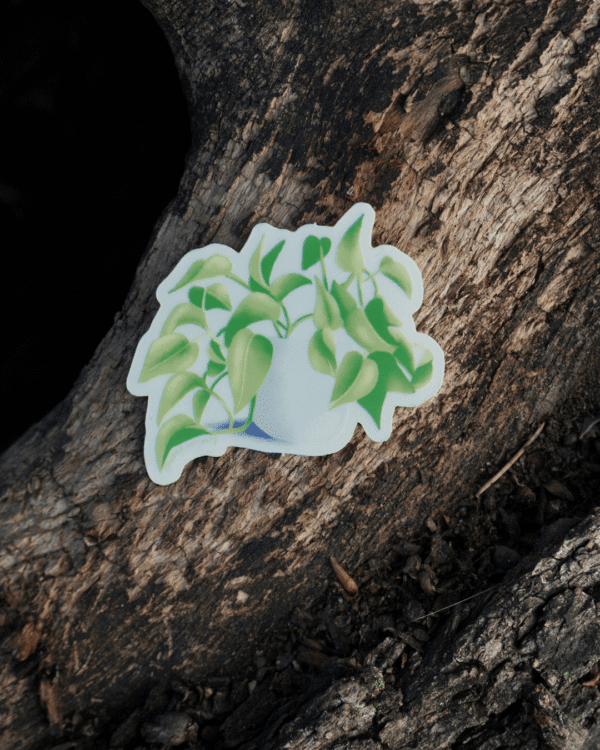 7 Sticker pothos