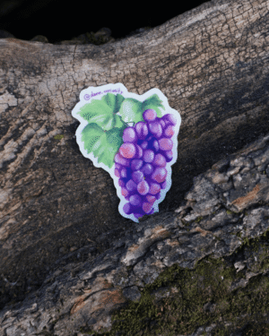 Sticker grappe de raisin