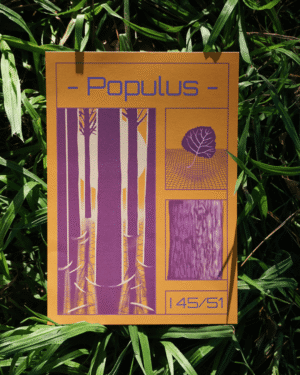 Affiche peuplier (Populus)