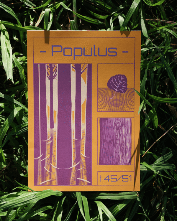 Affiche peuplier (Populus)