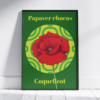 Affiche coquelicot (Papaver rhoeas)