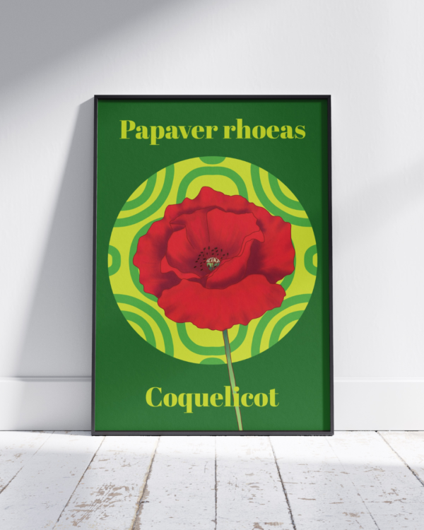 Affiche coquelicot (Papaver rhoeas)