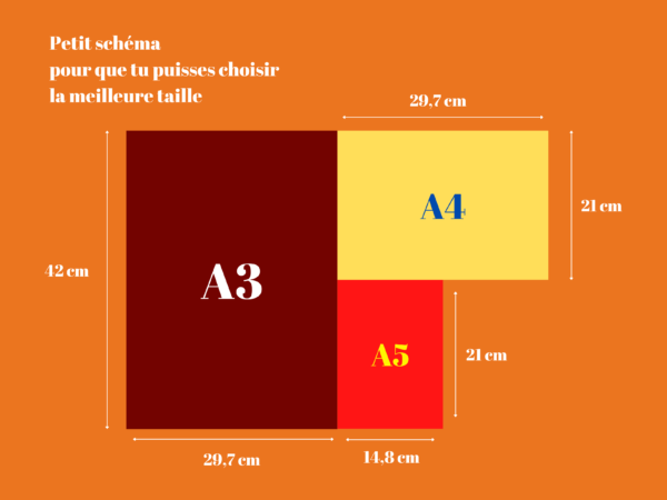 Affiche Hêtre (Fagus sylvatica)