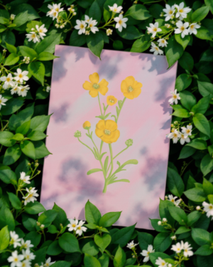 Carte postale un bouton d'or