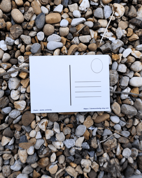 Copie de Sans titre-2 Carte postale perce-neige