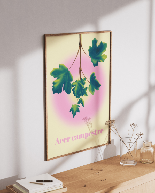 Design sans titre Affiche érable champêtre (Acer campestre)